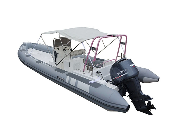 RIB-800